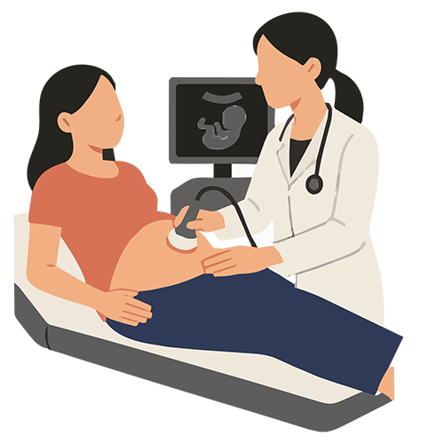 Illustration of a woman getting an ultrasound
