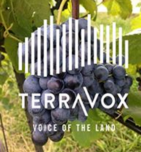 Vox Vineyard