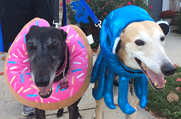 Chili and Olivia - ready for Halloween.